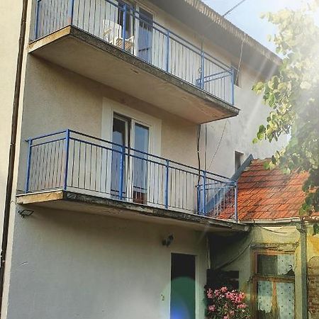 Bed and Breakfast Vila Lav Sokobanja Exterior foto